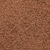 K520